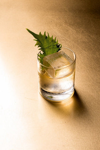 1 an sans alcool : quels bienfaits sur la santé physique, mentale et sociale ? - L'Alchimiste