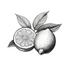Yellow lemon